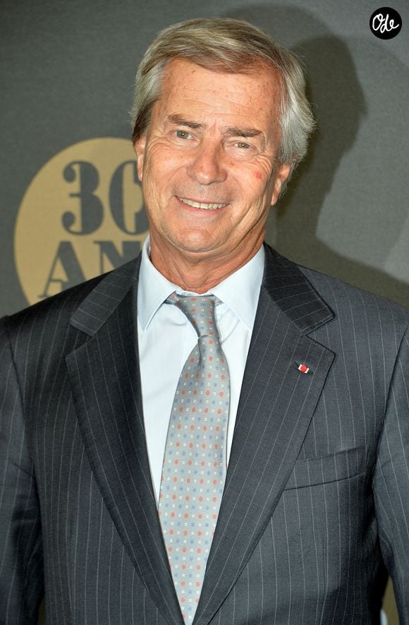 Vincent Bolloré - Soirée des 30 ans de Canal + au Palais de Tokyo à Paris le 4 novembre 2014. VEEREN / BESTIMAGE
