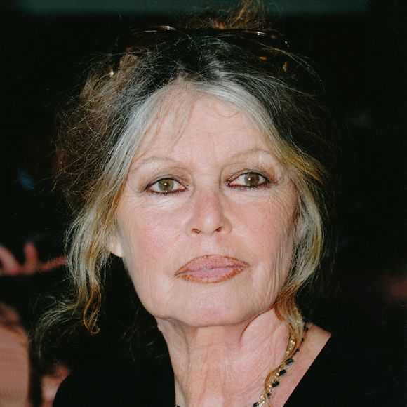 Portrait de Brigitte Bardot.

Crédit : JLPPA / Bestimage