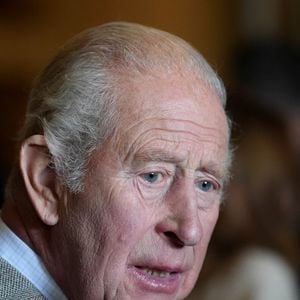 Charles Spencer aurait notamment voulu éviter que William et Harry participent au cortège funèbre.

Le roi Charles III assiste au sommet « Harmony in Food and Farming » organisé par la King's Foundation, qui réunit des dirigeants britanniques et internationaux du secteur, des agriculteurs et des chefs pour discuter de la transformation des systèmes alimentaires grâce à l’éducation pratique, à des pratiques agricoles durables et régénératrices, ainsi qu’à la réduction du gaspillage alimentaire. L’événement se tient au siège de la fondation, à Dumfries House, à Cumnock, dans l’Ayrshire. Photo prise le mercredi 16 septembre 2026. © Jonathan Brady / PA Photos / Bestimage