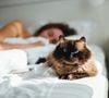 Dans une famille, le chat semble parfois faire un choix incompréhensible. 

Adam Kuylenstierna /Unsplash