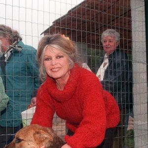 Dans cette même déclaration, Brigitte Bardot réaffirme sa confiance en son équipe et sa directrice actuelle.

Brigitte Bardot - Noël des animaux à Carnouls 
DOMINIQUE JACOVIDES / BESTIMAGE