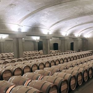 Malgré leur âge exceptionnel, les vins ont conservé une remarquable qualité, même si seuls cinq flacons originaux ont pu être préservés pleins après leur reconditionnement. 

Capture Instagram - Jay Brown - Jay Z et le directeur général du label américain Roc Nation, Jay Brown, célèbrent leur anniversaire dans l'hôtel 5 étoiles privatisé « Les Sources de Caudalie » avec leurs amis Kris Jenner, Ellen Pompeo, Beyoncé, Rihanna, à Martillac près de Bordeaux, en France, le 3 décembre 2023. Des navettes aux vitres teintées ont fait des allers-retours toute la journée de samedi.   L'anniversaire s'est déroulé du 1er au 4 décembre 2023. Parmi les 98 invités qui séjourneront sur place, les stars internationales Kris Jenner, Ellen Pompeo, Beyoncé et Jay-Z, accompagnés de leurs enfants, sont arrivés vendredi soir, et la chanteuse Rihanna samedi dans la journée. La fête s'est poursuivie au château d'Yquem dimanche soir.