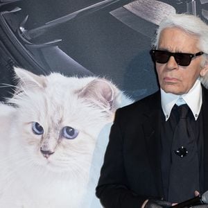 Un choix de casting validé par les internautes !

Karl Lagerfeld au vernissage "Corsa Karl et Choupette" à Berlin en Allemagne, le 3 février 2015.

Photo : API / Bestimage