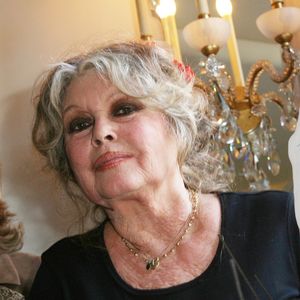 Après la mort de Brigitte Bardot, sa sœur Mijanou a publié un message bouleversant sur Facebook.

Archives - Brigitte Bardot lors des 20 ans de la Fondation Brigitte Bardot à Paris. Photo par Agence / Bestimage