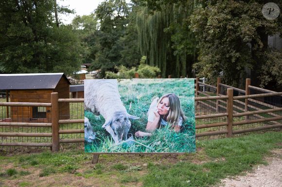 Une photo prise le 7 août 2023 montre une photo de Brigitte Bardot dans un refuge de la Fondation Brigitte Bardot à Bazoches-sur-Guyonne, en région parisienne. Photo par Raphael Lafargue/ABACAPRESS.COM