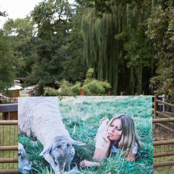 Une photo prise le 7 août 2023 montre une photo de Brigitte Bardot dans un refuge de la Fondation Brigitte Bardot à Bazoches-sur-Guyonne, en région parisienne. Photo par Raphael Lafargue/ABACAPRESS.COM