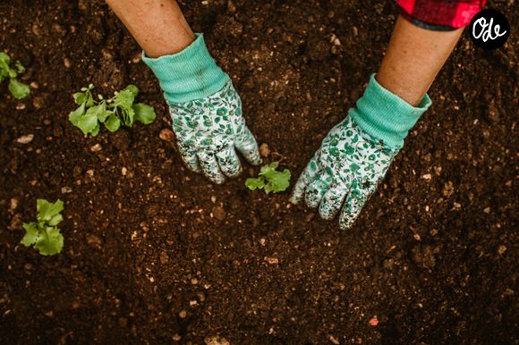 Leur environnement les incite à rester actives sans suivre de programme d'entraînement.

Pexels