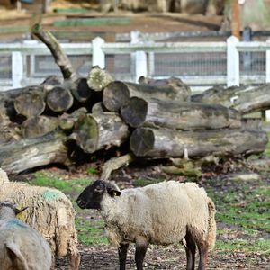 Illustration de l'ancienne demeure (bergerie du XVIIIème siècle) de Brigitte Bardot à Bazoches-sur-Guyonne dans les Yvelines, France, le 2 janvier 2026. © Christian Liewig/Bestimage