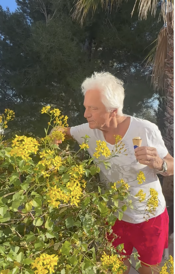 Gérard Lenorman : Sa maison avec piscine située dans la ville du Sud qui a  le plus beau marché de France - Purepeople