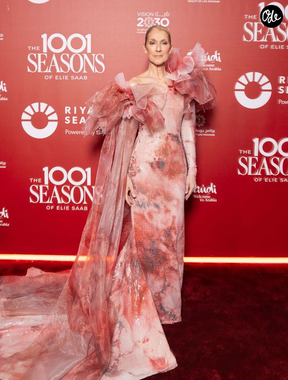 Celine Dion au photocall du défilé anniversaire Elie Saab "1001 Seasons of Elie Saab" à l'espace "The Venue" à Riyad, Arabie saoudite le 13 novembre 2024.  © Tiziano Da Silva / Bestimage
