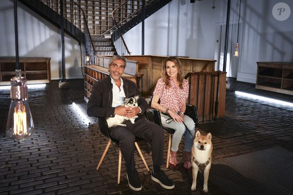 Exclusif - Ary Abittan pendant l’enregistrement d’Animaux Stars, présenté par B.Montiel et diffusé le 4 octobre 2025 sur Animaux TV, à Paris, France le 3 juillet 2025. © Jack Tribeca/Bestimage