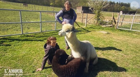 En effet, Géraldine a convié les deux hommes à assister à l'accouplement de ses alpagas. 

Géraldine avec ses prétendants Jérôme et Yannick dans "L'amour est dans le pré"