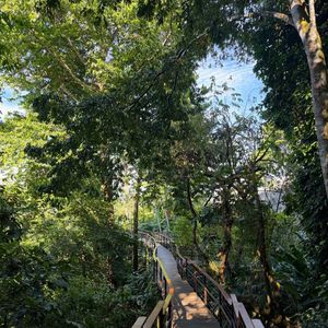 La tribu semble séjourner à l'hôtel Lapa Rios Lodge.

Sylvie Tellier en vacances en famille au Costa Rica.
