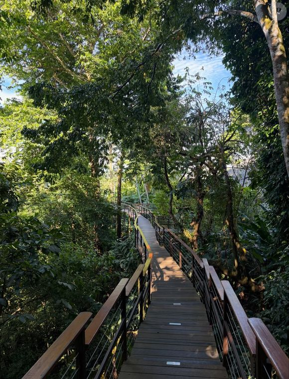 La tribu semble séjourner à l'hôtel Lapa Rios Lodge.

Sylvie Tellier en vacances en famille au Costa Rica.