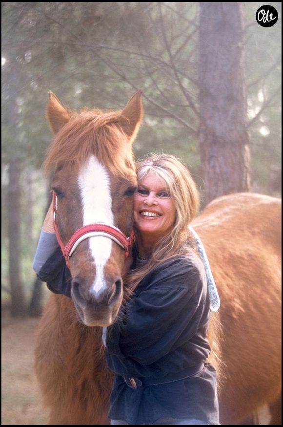 Brigitte Bardot à Saint Tropez 
Chavaroche-Luccioni / Bestimage