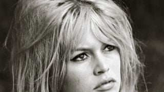 Brigitte Bardot : Un ex-journaliste de France 2 raconte son histoire secrète avec l'actrice, "C’est toujours elle qui m’appelait"