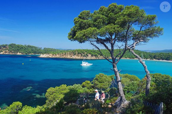 Michel Sardou vit depuis quelque temps à Bormes-les-Mimosas avec son épouse, après avoir quitté Paris pour cette belle commune du Var.

Bateaux au mouillage vus a travers les pins devant la plage de l'Estagnol à Bormes les Mimosas (83), dans le Var, France. Photo de Zintzmeyer/Andbz/Abaca