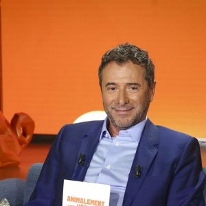 Exclusif - Bernard Montiel, sur plateau de la nouvelle émission "Animalement Vôtre" présentée par Bernard Montiel et diffusée le 9 novembre sur France 3, à Paris, France, le 13 octobre 2025. © Jack Tribeca/Bestimage