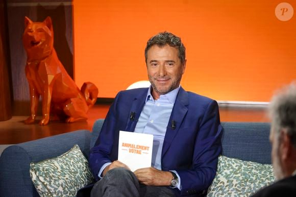 Exclusif - Bernard Montiel, sur plateau de la nouvelle émission "Animalement Vôtre" présentée par Bernard Montiel et diffusée le 9 novembre sur France 3, à Paris, France, le 13 octobre 2025. © Jack Tribeca/Bestimage