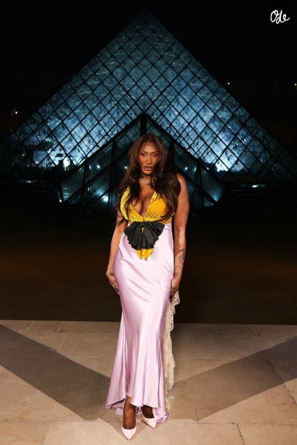 Arrivées au Grand Dîner du Louvre 2026 à Paris pendant la fashion week Prêt à Porter femme automne/hiver 2026-2027 (PFW) Backgrid USA / Bestimage