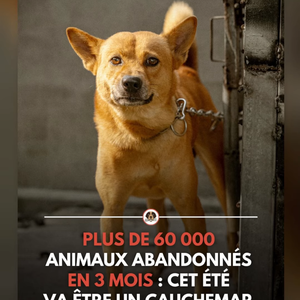 Story Estelle Lefébure Juin 2026