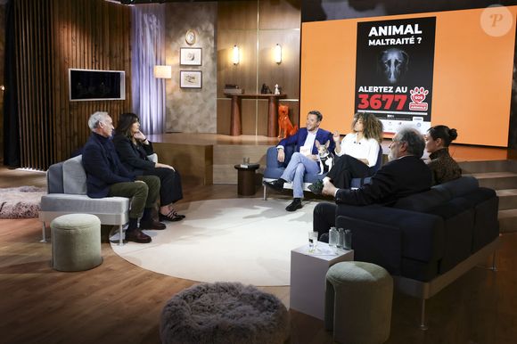 Exclusif - Valérie Perrin, Bernard Montiel, Oli et son chien Monday sur plateau de l'émission "Animalement Vôtre" présentée par B.Montiel et diffusée le 22 mars 2026 sur France 3, à Paris, France, le 2 décembre 2025. © Jack Tribeca/Bestimage