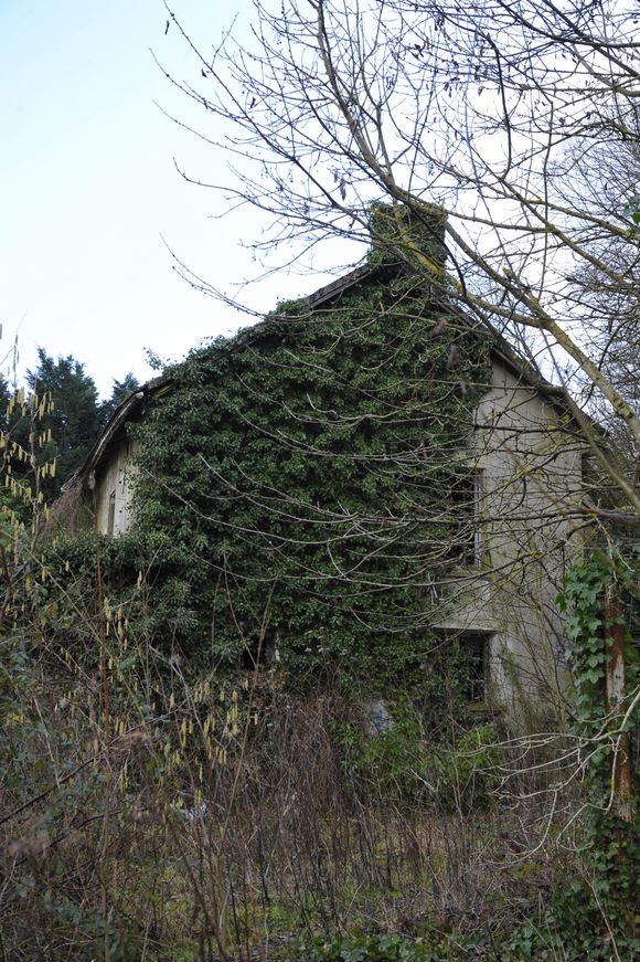 En lisière de la foret domaniale de Maurepas dans les Yvelines, la propriété achetée par l'acteur Jamel Debbouze est désormais devenue une ruine et un squat le 15 fevrier 2013.
AGENCE / BESTIMAGE