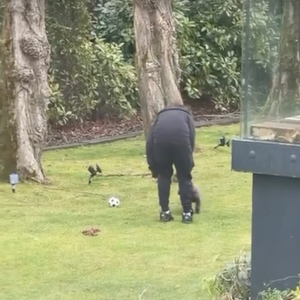 Capture Instagram - Vitaa