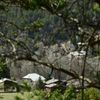 Illustrations au Vernet dans les Alpes-de-Haute-Provence dans le cadre de la disparition du petit Emile en juillet 2023 dont une partie des ossements ont été retrouvés.
Le 4 avril 2024.

© Romain Doucelin / Bestimage