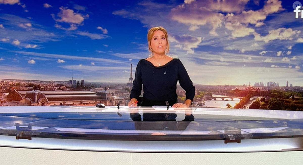 Il fait partie des rares à la défendre : un présentateur star de la  télévision s'exprime sur les débuts de Léa Salamé - Purepeople