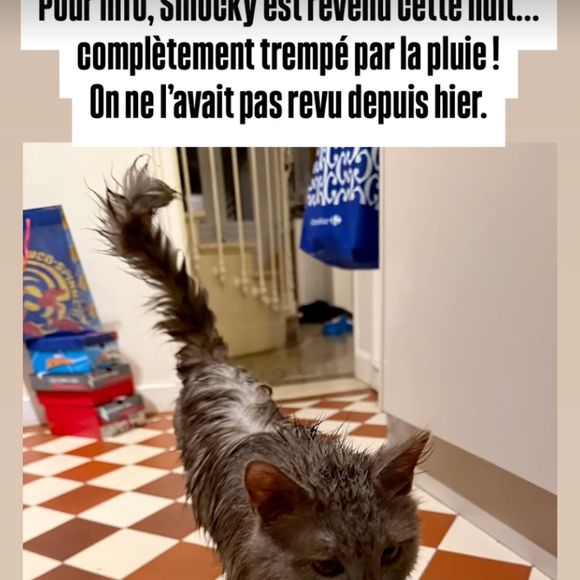 Sur Instagram, Christophe Beaugrand a également révélé que leur adorable chat prénommé Smocky, bien que "trempé par la pluie" était "revenu cette nuit". "On ne l'avait pas revu depuis hier". Une bonne nouvelle en somme !

Capture d'écran Christophe Beaugrand - Instagram - 6 juin 2025