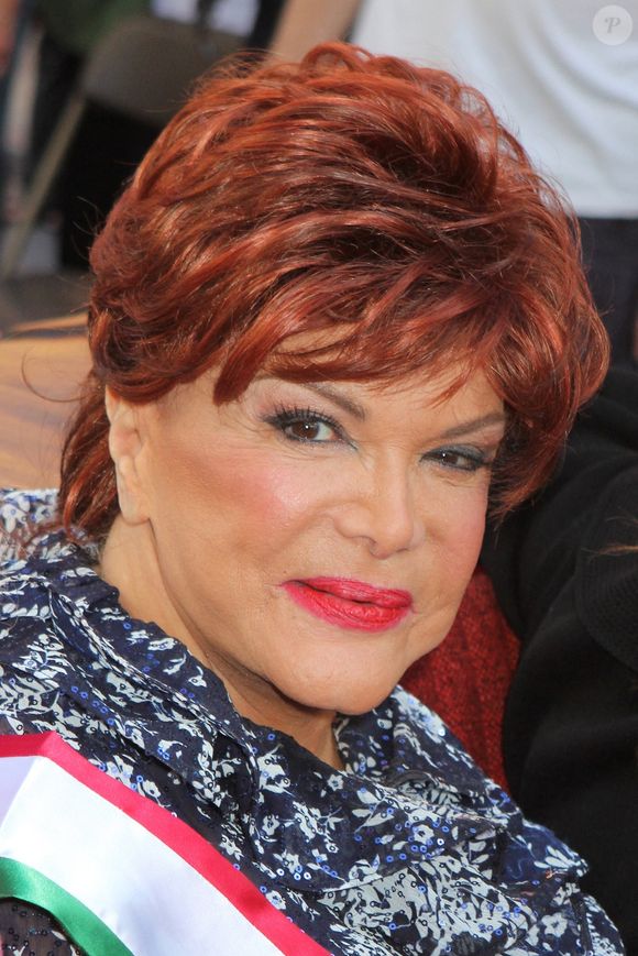 Son décès a été annoncé dans un message publié sur Facebook

Décès de la chanteuse Connie Francis à l'âge de 87 ans le mercredi 16 juillet 2025.
Crédit : Backgrid USA / Bestimage