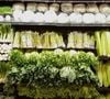 Les enseignes discount proposent souvent des produits intéressants.

Les légumes surgelés, vrai bon plan ?