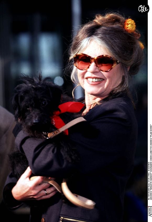 Archives - Brigitte Bardot souriante.

© Bestimage