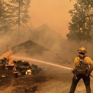 Incendie dans la forêt nationale de Shasta Trinity, Californie © Usfs/Planet Pix/Zuma Press/Bestimage
