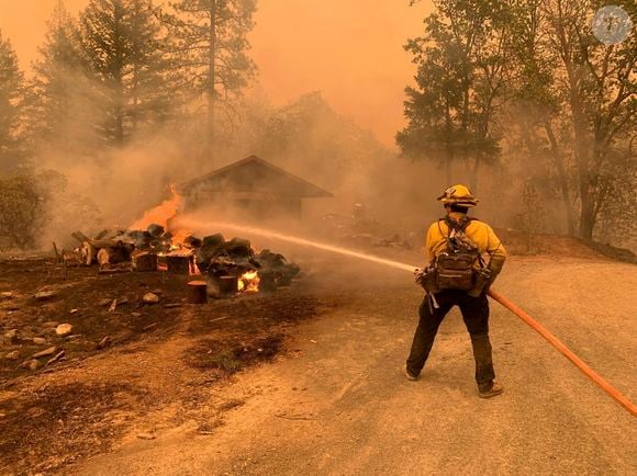 Incendie dans la forêt nationale de Shasta Trinity, Californie © Usfs/Planet Pix/Zuma Press/Bestimage