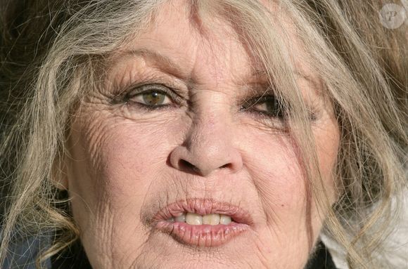 Elle est également revenue sur les fans intrusifs qui se rendent tous les jours à La Madrague, "même quand il pleut".

La légende du cinéma français Brigitte Bardot, devenue une fervente défenseuse des animaux, visite un centre de protection des animaux à Nice, dans le sud de la France, le 28 décembre 2005. Photo by ABACAPRESS.COM