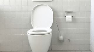 Placer du bicarbonate de soude autour des toilettes : à quoi ça sert et pourquoi c’est recommandé ?