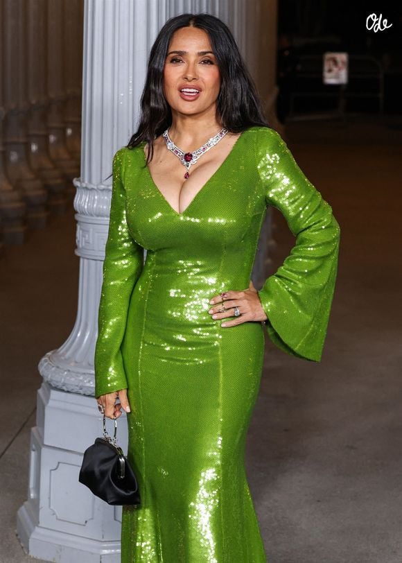 Salma Hayek - Los Angeles (Californie) – L'Art + Film Gala 2025, présenté par Gucci, s'est tenu au Los Angeles County Museum of Art, situé sur Museum Row, dans le quartier de Miracle Mile à Los Angeles, en Californie (États-Unis).
Crédit : Backgrid USA / Bestimage