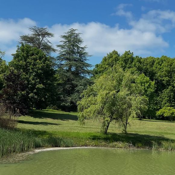 Image rare du domaine de Douchy dans le Loiret, propriété d'Alain Delon
©Instagram/therealanthonydelon