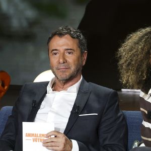 Dans ce programme, il s’entoure d’experts, de l’influenceuse Oli et de l’humoriste Raphaël Mezrahi.

Exclusif - Agustin Galiana sur plateau de la nouvelle émission "Animalement Vôtre" présentée par Bernard Montiel et diffusée le 23 novembre sur France 3

Jack Tribeca / Bestimage