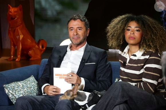 Dans ce programme, il s’entoure d’experts, de l’influenceuse Oli et de l’humoriste Raphaël Mezrahi.

Exclusif - Agustin Galiana sur plateau de la nouvelle émission "Animalement Vôtre" présentée par Bernard Montiel et diffusée le 23 novembre sur France 3

Jack Tribeca / Bestimage